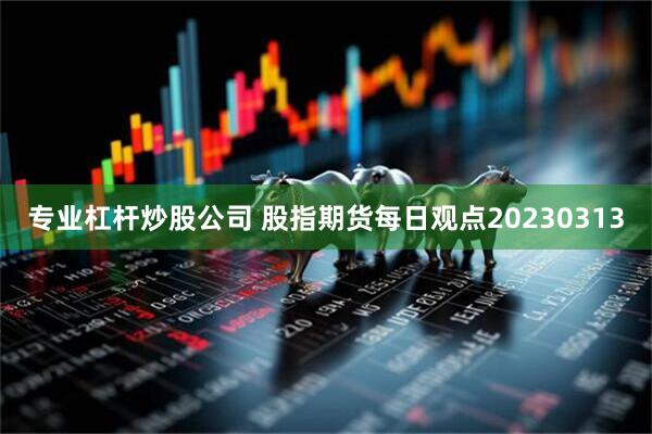 专业杠杆炒股公司 股指期货每日观点20230313