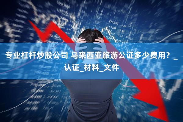 专业杠杆炒股公司 马来西亚旅游公证多少费用？_认证_材料_文件