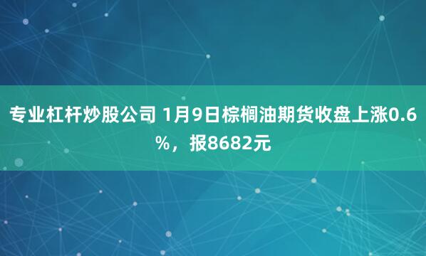 专业杠杆炒股公司 1月9日棕榈油期货收盘上涨0.6%，报8682元